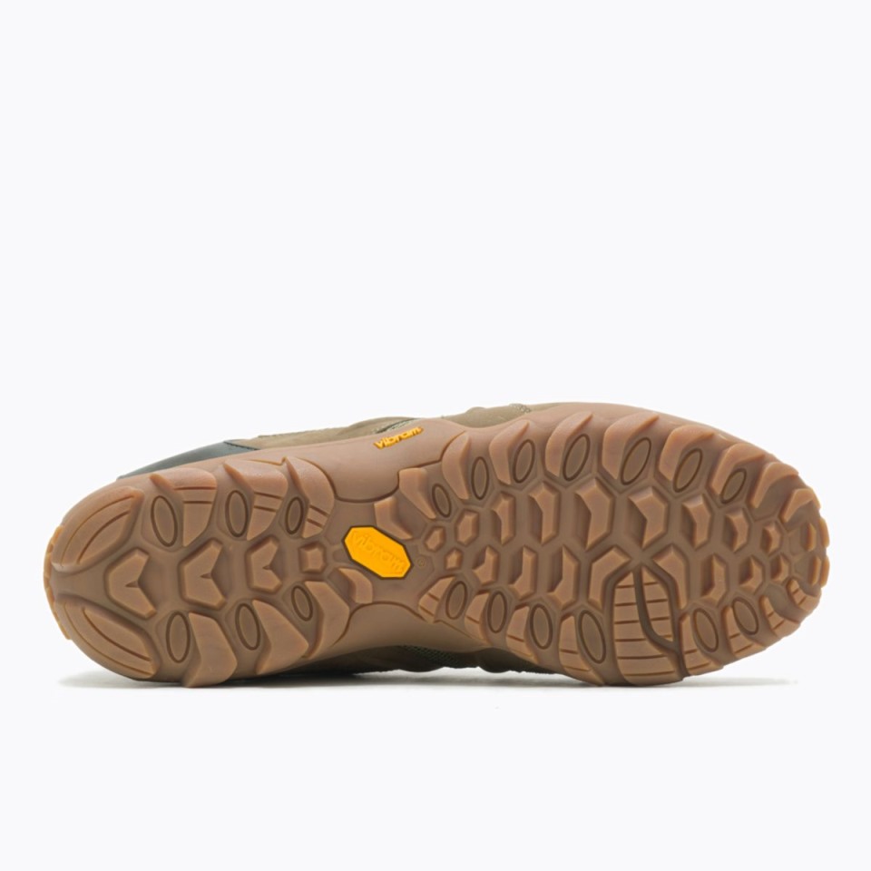 Herren-Chamäleon 8 Stretch Merrell Olive