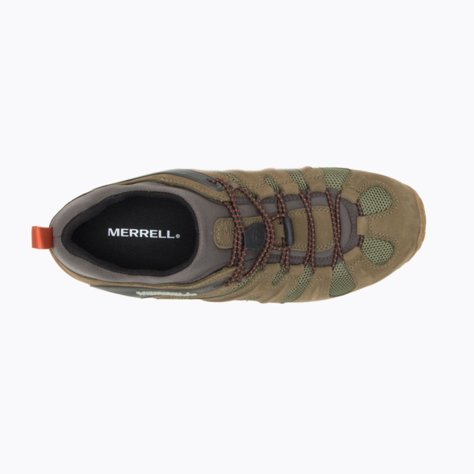 Herren-Chamäleon 8 Stretch Merrell Olive