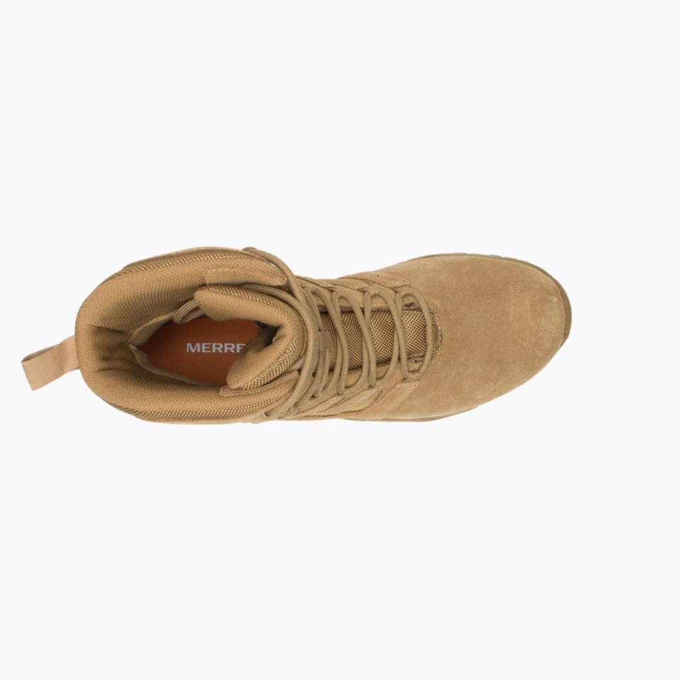 Merrell Moab 2 Verteidigungsstiefel Dark Coyote